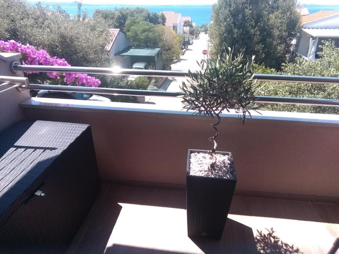 Apartment Vila Nina Petrčane Oda fotoğraf